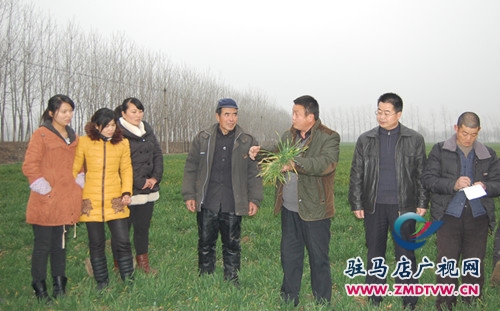 郵政春耕助農忙