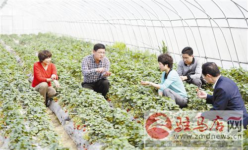 益農豐達：建設高科技現代都市生態(tài)農業(yè)樣板園區(qū)