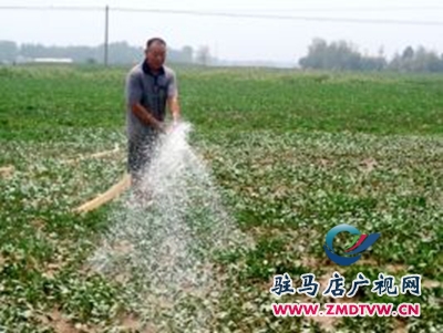 正陽:全力戰旱魔