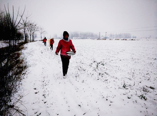 農業專家建議：趁雪追肥 確保豐產