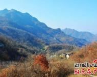 爬山：嵖岈山溫泉小鎮度假酒店,是我市首家五星級度假酒店,各項硬件設施齊全,服務周到入住酒店即送溫泉門票.嵖岈山溫泉小鎮旁邊有座海拔不到200米的花山, ,適合喜歡休閑健身的游客登高游玩。