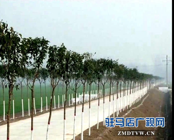暴風截圖2016125578373_副本.jpg