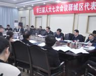驛城區代表團審議陳星市長在駐馬店市三屆人大七次會議上所作的政府工作報告
