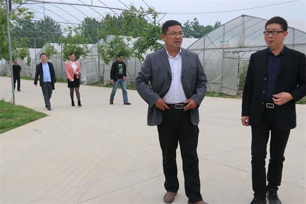 駐馬店市企業家協會會長王海周到常務理事單位益農豐達莊園指導工作