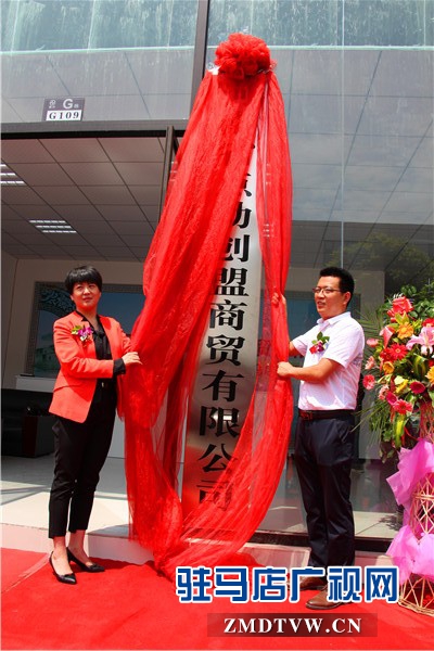 20輛電動轎車助力美麗鄉村電商建設