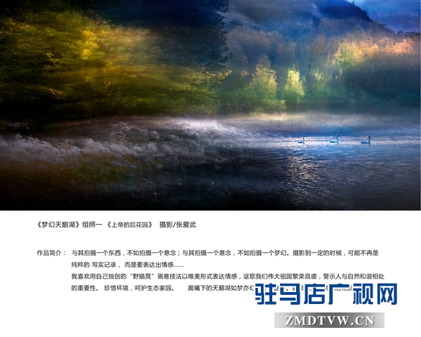 1、《夢幻天鵝湖》一等獎 張愛武.jpg