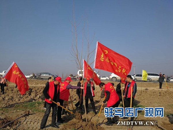 1、確山縣衛(wèi)計委在蓮花社區(qū)開展植樹造林活動.jpg