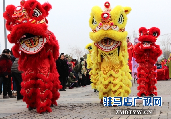 舞龍、耍獅、扭秧歌 駐馬店民間藝術(shù)展演吸引數(shù)千市民圍觀