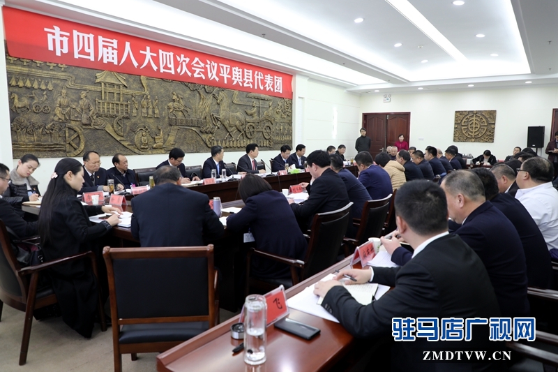 朱是西參加平輿代表團的審議政府工作報告，聆聽代表發言。
