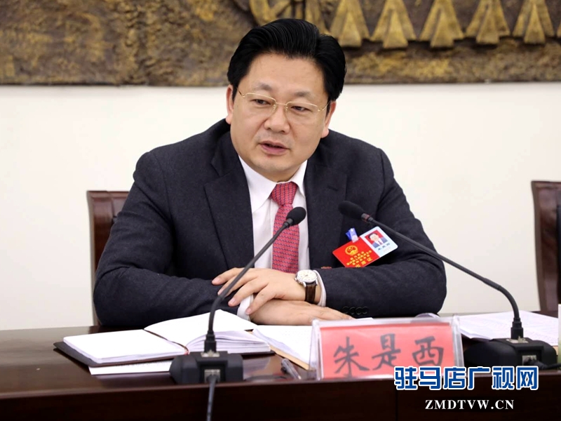 朱是西參加平輿代表團的審議政府工作報告時發言。