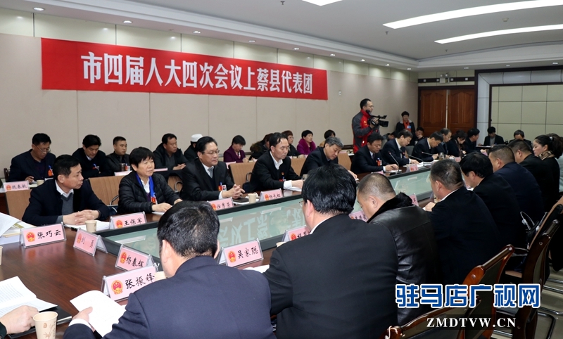 陳星參加上蔡代表團的審議政府工作報告，聆聽代表發言