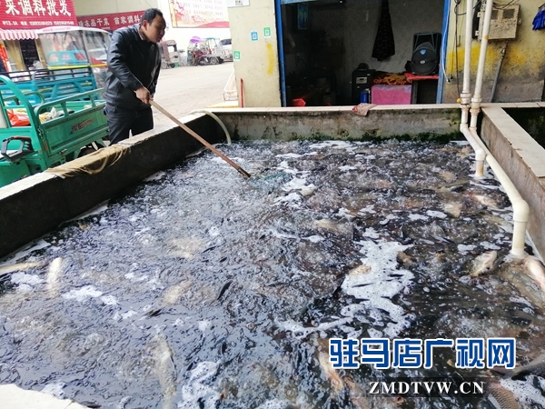  節后蔬菜市場“漲聲”一片水產品略跌