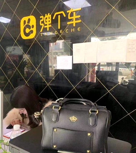 粗心乘客拼車遺落數萬巨款 駐馬店熱心司機急尋失主