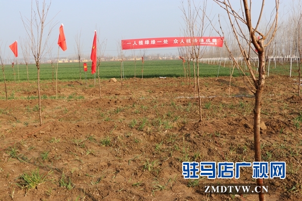  駐馬店市城鄉一體化示范區干部職開展春季全民義務植樹活動