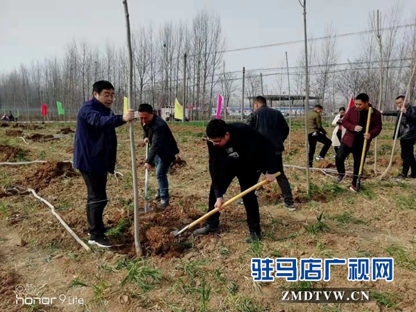 汝南縣三橋鎮(zhèn)黨員干部參加義務(wù)植樹(shù)活動(dòng)