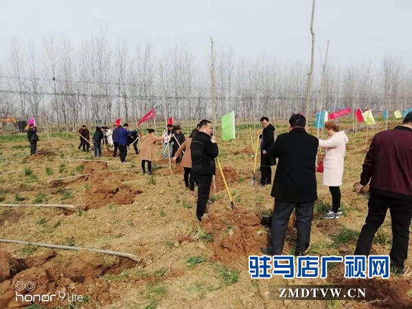 汝南縣三橋鎮(zhèn)黨員干部參加義務(wù)植樹(shù)活動(dòng)