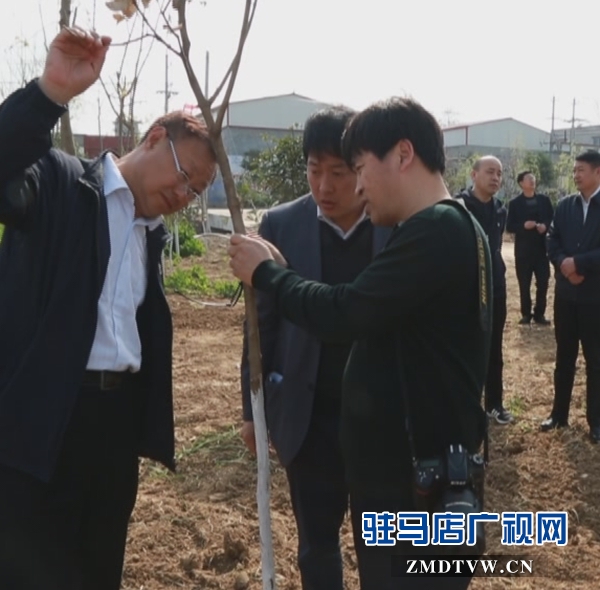 孔令省一行到西平縣檢查驗收省級森林城市創建工作