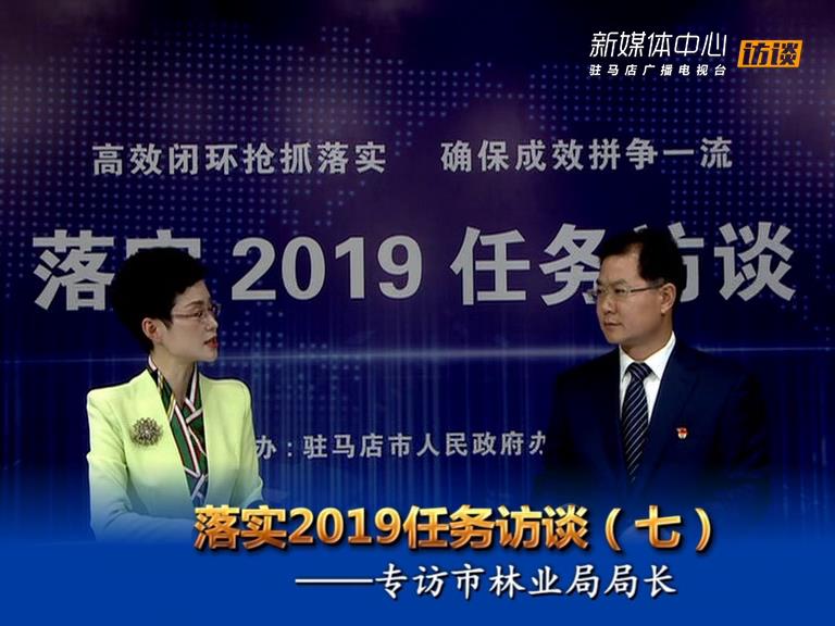 落實2019任務訪談--市林業局局長趙站