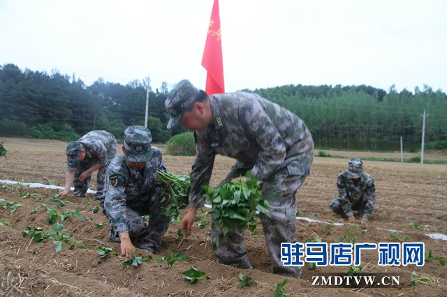 驛城區人武部：結對幫扶受歡迎