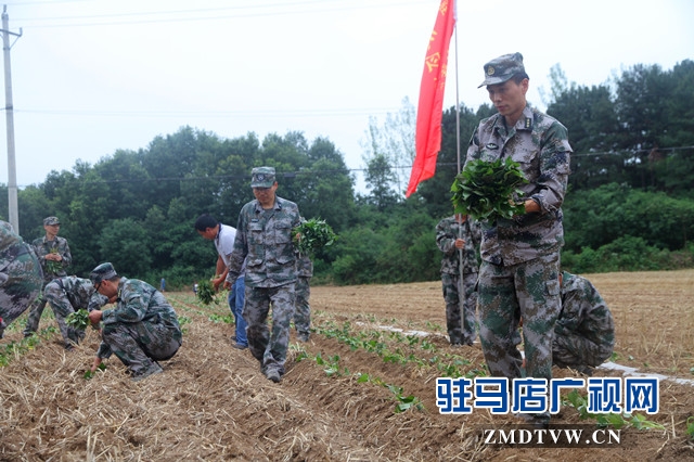 驛城區人武部：結對幫扶受歡迎