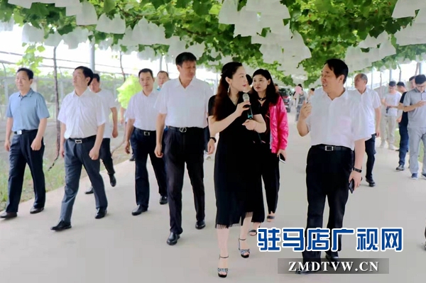 省政協副主席張亞忠到遂平縣杰美葡萄莊園調研休閑農業發展工作