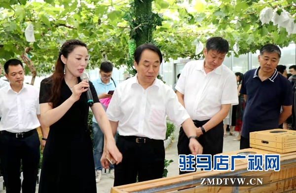 省政協副主席張亞忠到遂平縣杰美葡萄莊園調研休閑農業發展工作