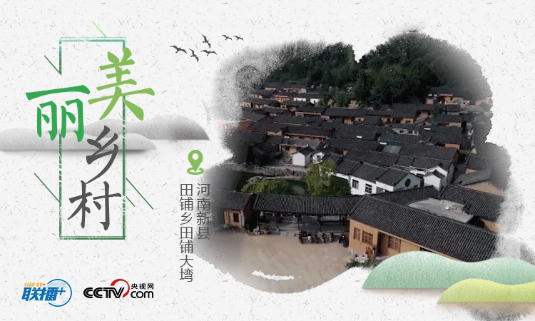 聯播+ | 五張海報，看總書記考察過的這些美麗鄉村