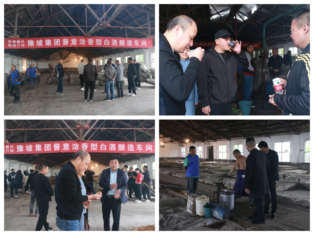 近50名企業家走進豫坡集團觀摩考察并在首屆中原種酒文化節到來之際率先“搶酒”