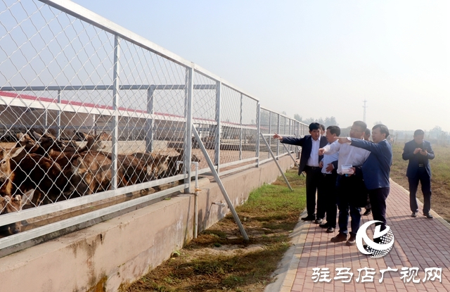 龜鹿藥業集團與中國農科院特產研究所簽署梅花鹿馴養技術合作協議
