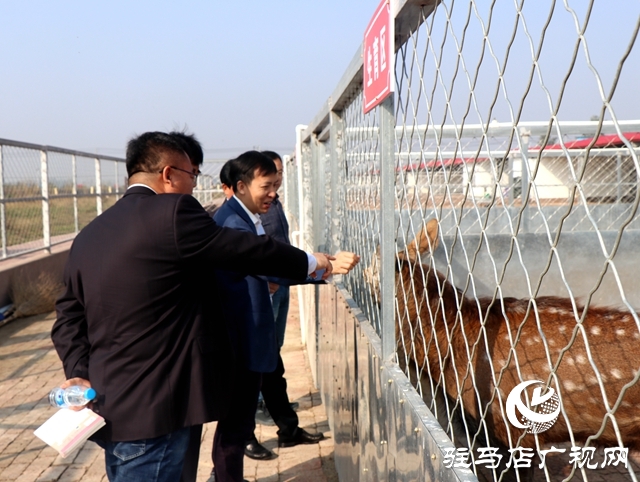 龜鹿藥業集團與中國農科院特產研究所簽署梅花鹿馴養技術合作協議