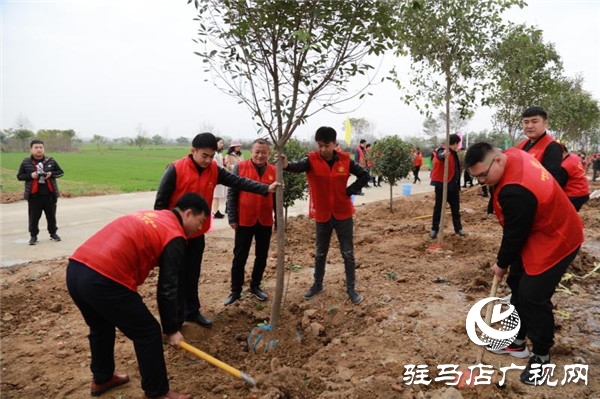 開發區冬季義務植樹活動隆重舉行