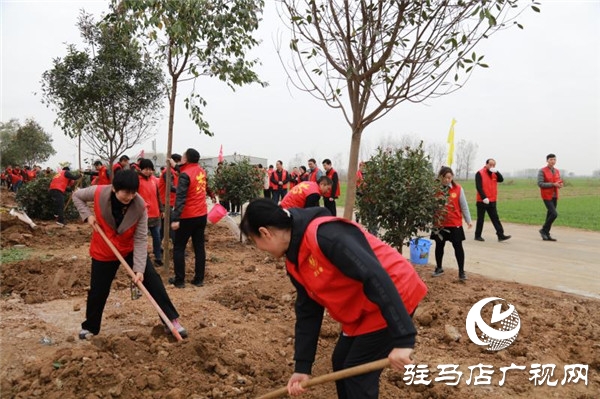 開發區冬季義務植樹活動隆重舉行