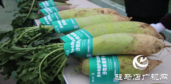 新蔡縣第一屆蘿卜節圓滿落幕