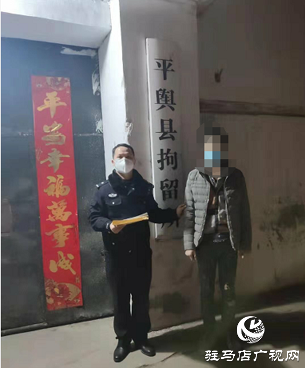 平輿兩名男子強闖卡點、辱罵、毆打疫情防控工作人員被拘
