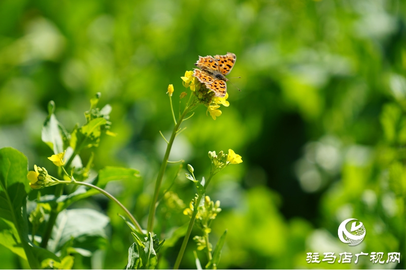 我們堅守，為了早日重逢