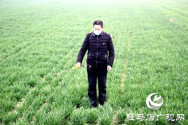 汝南縣古塔街道疫情防控時期春耕生產有門道