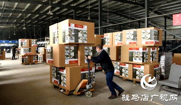 平輿：有序有力組織企業復工復產