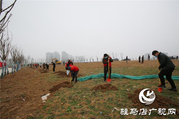 開發區疫情防控不松懈  春季綠化爭朝夕
