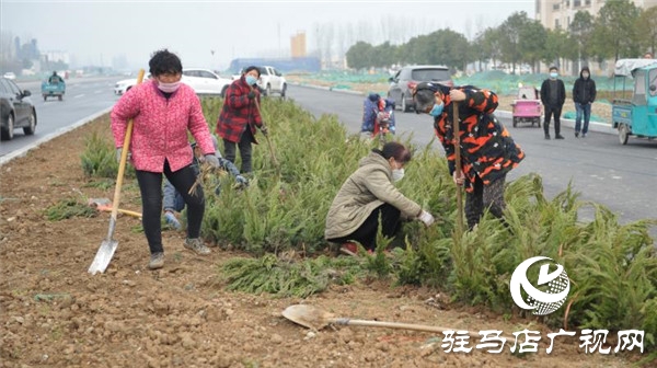 開發區疫情防控不松懈  春季綠化爭朝夕