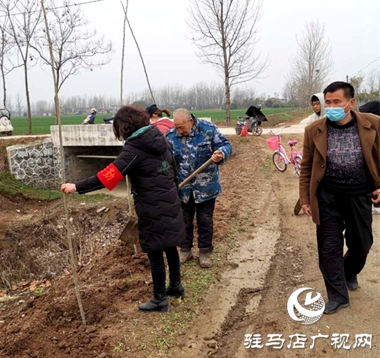 汝南縣三橋鎮搶抓時機忙植樹
