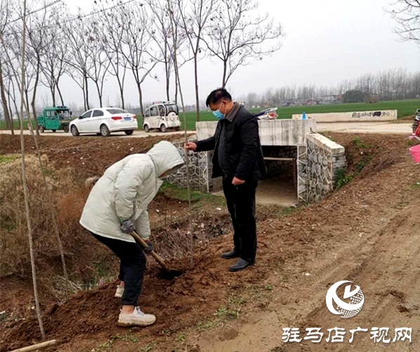汝南縣三橋鎮搶抓時機忙植樹