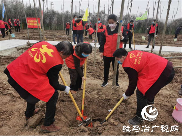 開發區衛計委積極開展植樹節志愿服務活動