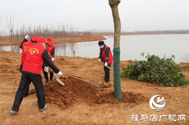 上蔡縣四大班子領導參加義務植樹活動