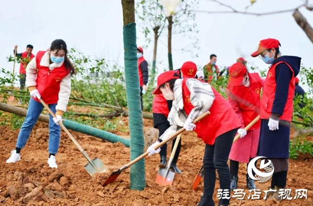 上蔡縣四大班子領導參加義務植樹活動
