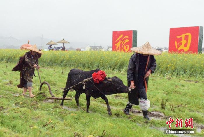 春分習俗知多少？流行“豎蛋”游戲 校對度量衡器具