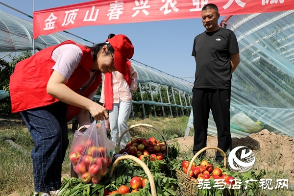 黨員為農產品代言，政協助力脫貧攻堅 