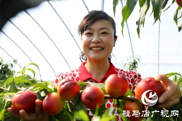 黨員為農產品代言，政協助力脫貧攻堅 