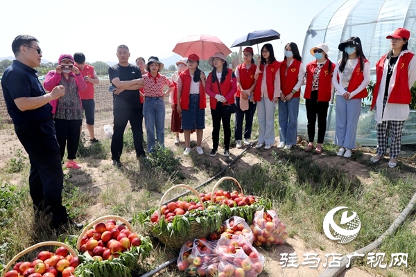 黨員為農產品代言，政協助力脫貧攻堅 