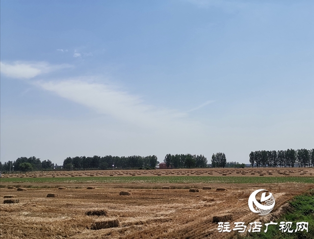 汝南縣王崗鎮：扎實推進秸稈禁燒工作堅決打贏藍天保衛戰