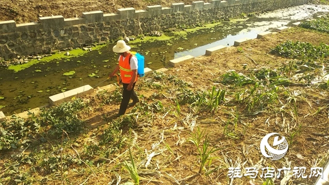 汝南縣王崗鎮(zhèn)開(kāi)展河湖破堤種植及非法圍墾行為專(zhuān)項(xiàng)整治活動(dòng)